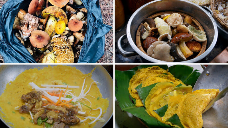Tour hái nấm năm mười mười lăm